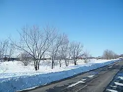 На сельской улице