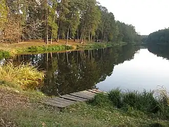 пруд на реке Горенка