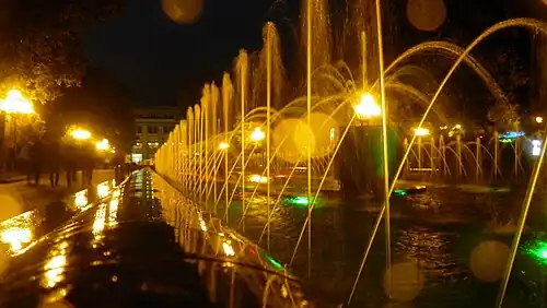 Ночной пейзаж. Водограда «Цветок тёрна»