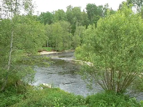 На этом месте в селе Берново Левитан написал картину «У омута»
