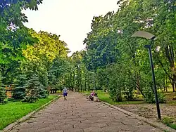 Парковая аллея