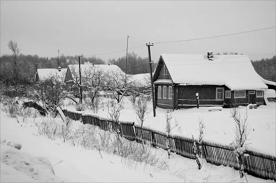 Зима в деревне Болотница. 2010 год
