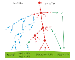 A branching tree representing the particle production