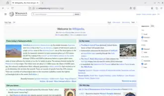 Скриншот программы Mozilla Firefox