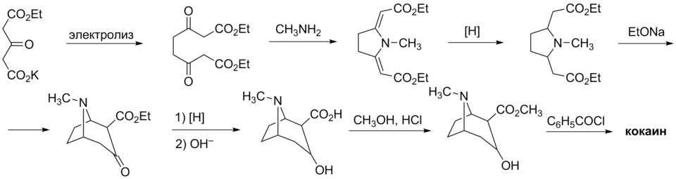 Синтез кокаина (Рихард Вильштеттер, 1923)