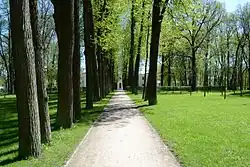 Карамзинская аллея