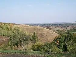 Большое Горнальское городище