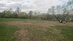 Боскет с обрамлением из ив, лип