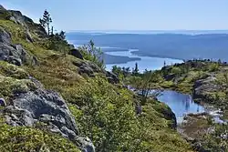 Вид с горы Кивакка