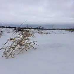 Большая степь