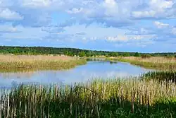 Добровско-Филатовская пойма реки Воронеж