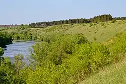 Докторова гора