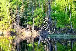 Долина ручья Песковатка