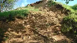 Геологические отложения у с. Дядьково