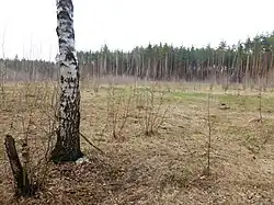 Заячья поляна