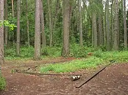 Келейные корпуса (руины)