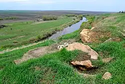 Конь-Камень