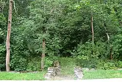 Зеленые насаждения