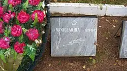 Могила лейтенанта Ш.А. Чкуасели