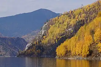 Берег Енисея