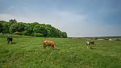 Усадьба Улыбышевых