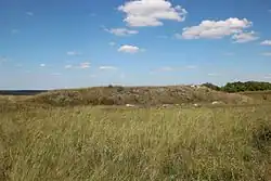 Маяцкое городище (Маяцкий археологический комплекс памятников)