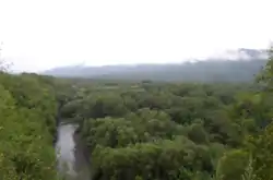 Лесопарковая зона