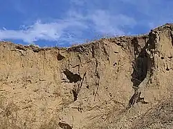 Сухотинская группа стоянок. Поселение «Сухотино-4»