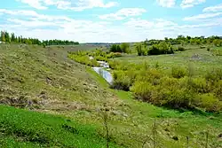 Лебедянский