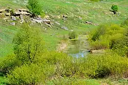 Нижнелубнинский