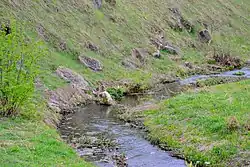 Низовья реки Чичера