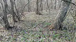 Аркадакский заказник