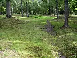 Земляные укрепления (фрагменты)