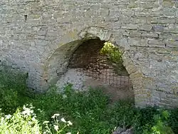 Остатки жилых и хозяйственных построек, оборонительных сооружений, набережных, рвов, каналов