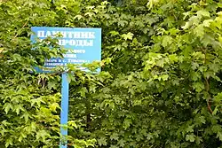 Парк в селе Тульское