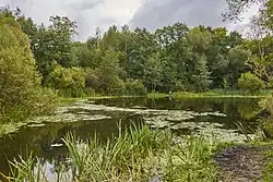 Парк с системой прудов (117,5 га)