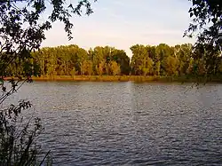 Усть-Чумышский заказник