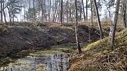 Редут, сооруженный в XVIII в. (Кивиниемский шанец)