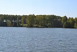 Романовское городище