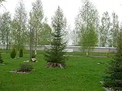 Сад регулярно-пейзажной планировки