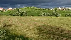 Селище «Дубровицкое»