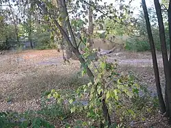 Здание казармы