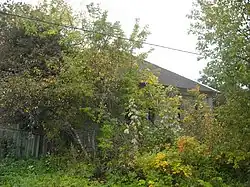 Дом Русиновых