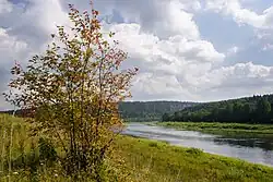 Устье р. Серебряной