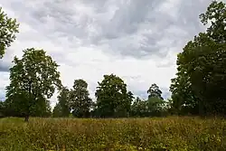 Усадебный парк (17 га)