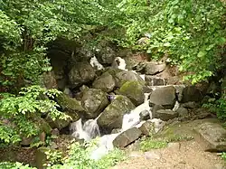 Ущелье ручья Соленый