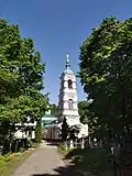 Старое городское (Князь-Владимирское) кладбище