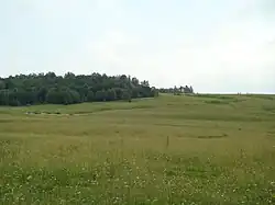 Роща «Лучинник»