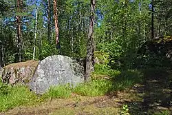 Парк (планировка, композиционные элементы, дендрологический состав)